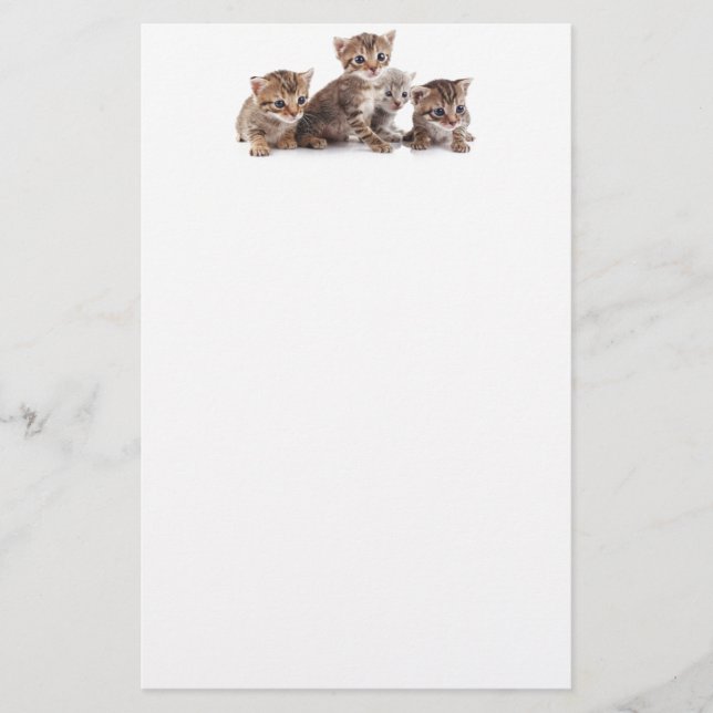Papelaria Gatinhos e mais gatinhos (Frente)