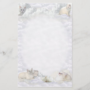 Papelaria Gato branco
