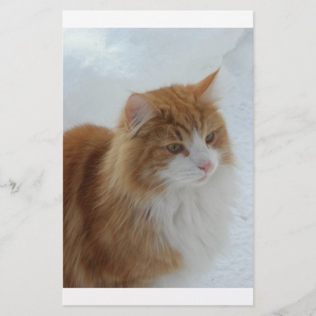 Papelaria Gato_da_Floresta_Norueguesa (Frente)