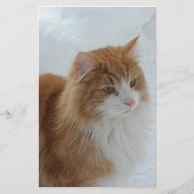 Papelaria Gato_da_Floresta_Norueguesa (Frente)