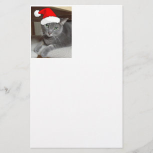 Papelaria Gato de Cinza Azul Russo Natal