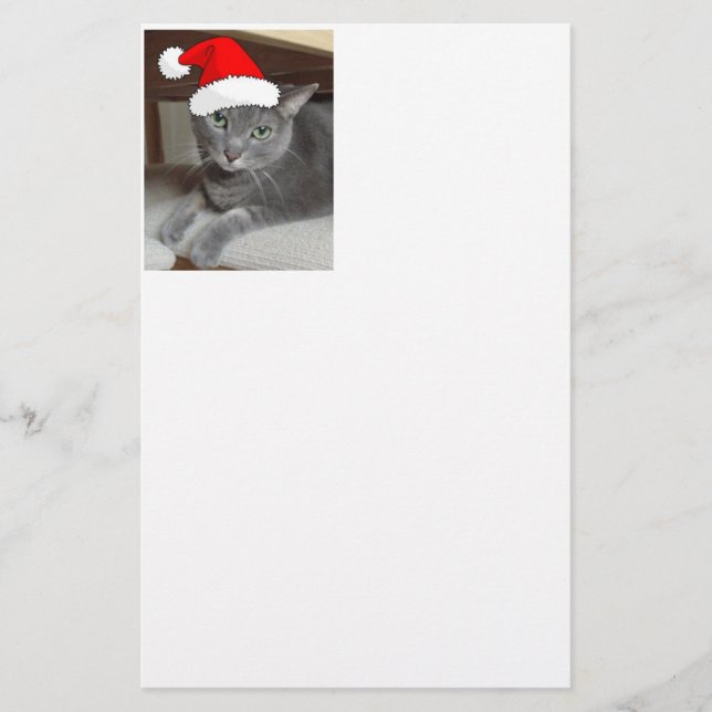 Papelaria Gato de Cinza Azul Russo Natal (Frente)