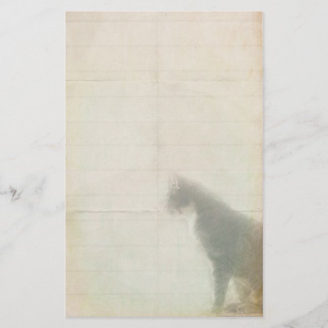 Papelaria Gato de Espera (Frente)