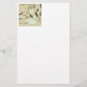 Papelaria Gato de gato malhado alaranjado
