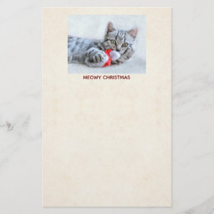 Papelaria Gato de gato malhado cinzento bonito do Natal de