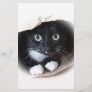 Papelaria Gato em um saco