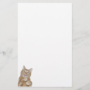 Papelaria Gato feliz