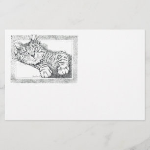 Papelaria Gato legal