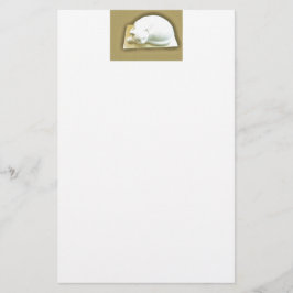 Papelaria Gato na Dourada Caixa II