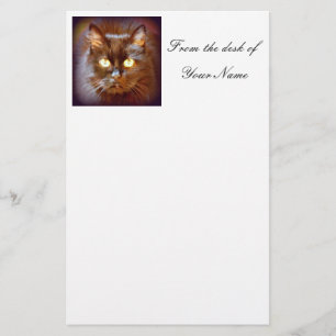Papelaria gato preto