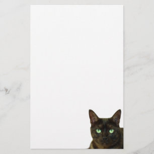 Papelaria Gato preto