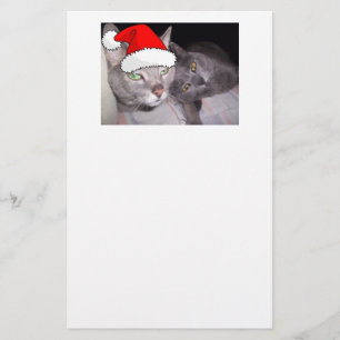 Papelaria Gatos de Natal