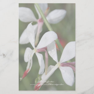 Papelaria Gaura - Papel Personalizado
