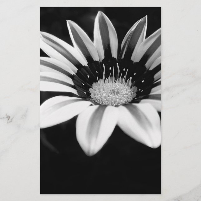 Papelaria Gazania (Frente)
