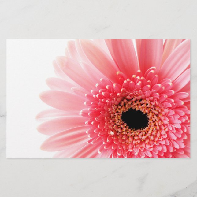 Papelaria Gerbera Daisy (Frente)