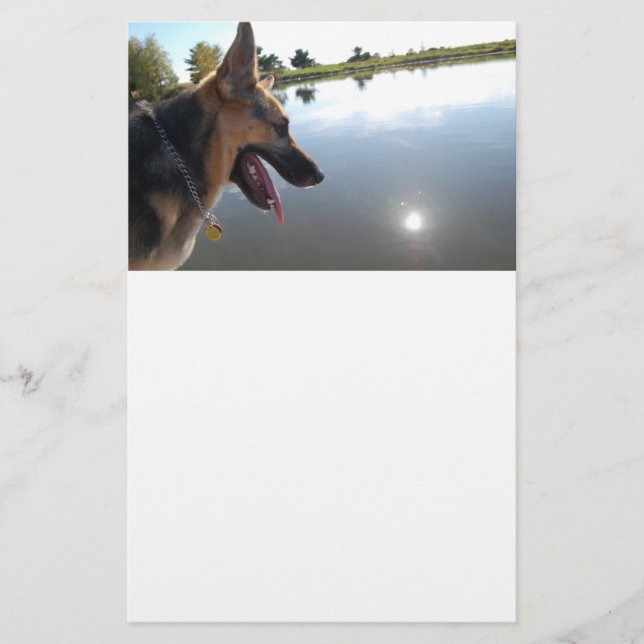 Papelaria German shepherd/Aproveitando a visualização (Frente)
