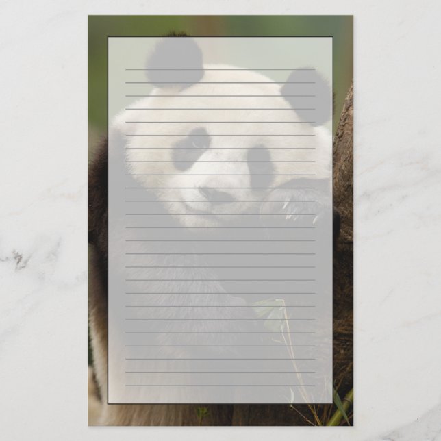 Papelaria Giant panda Ailuropoda melanoleuca) Família (Frente)