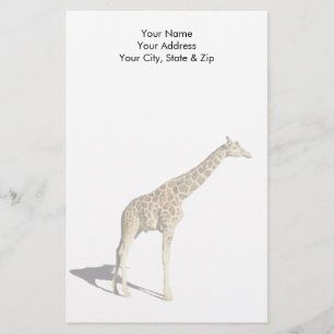 Papelaria Girafa