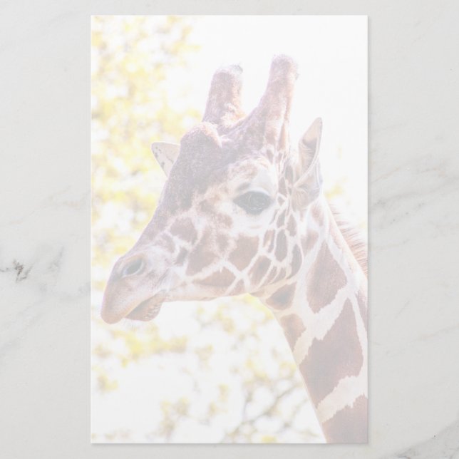 Papelaria Giraffe Portrait (Frente)