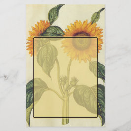 Papelaria Girassóis