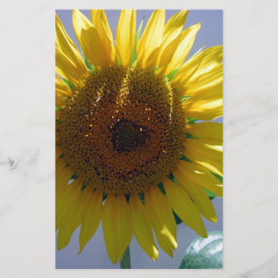 Papelaria Girassol Amarelo