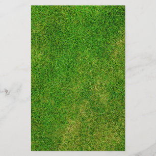 Papelaria Grass Lawn