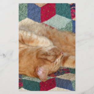 Papelaria Guarda de Gatos