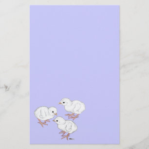 Papelaria Guiné branca Keets