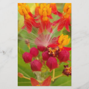 Papelaria Hakuna Matata, adorável Buds de Flor Amarelo verde