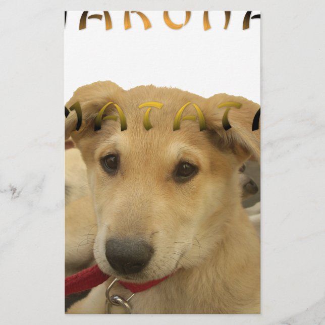 Papelaria Hakuna Matata Eu sei o que você está pensando (Frente)