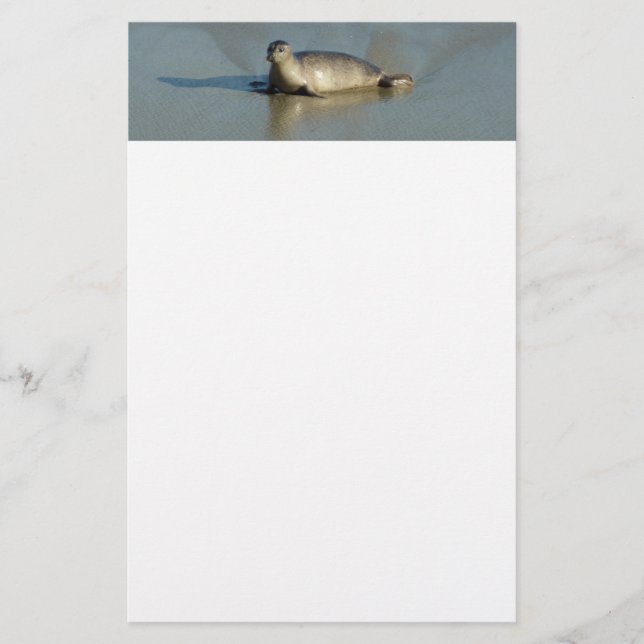 Papelaria Harbor Seal em La Jolla California (Frente)