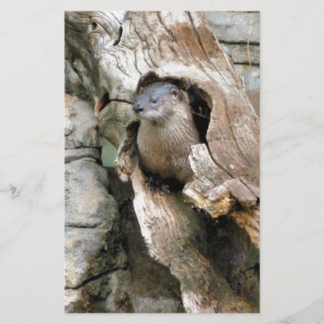 Papelaria Harry Otter (Frente)