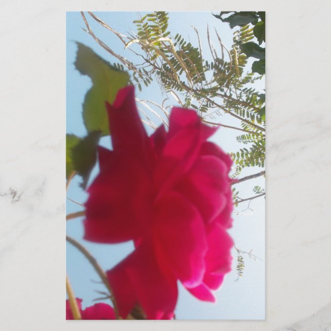 Papelaria Heavenly Bloom: Um Rosa Contra o Céu (Frente)