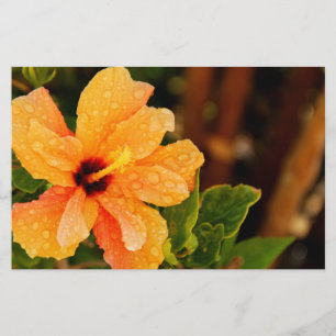 Papelaria Hibisco