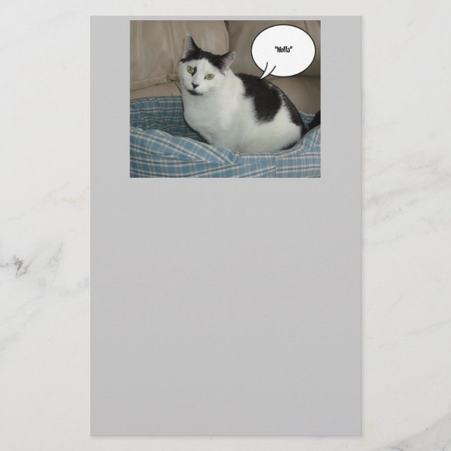Papelaria Holla Cat Humor (Frente)