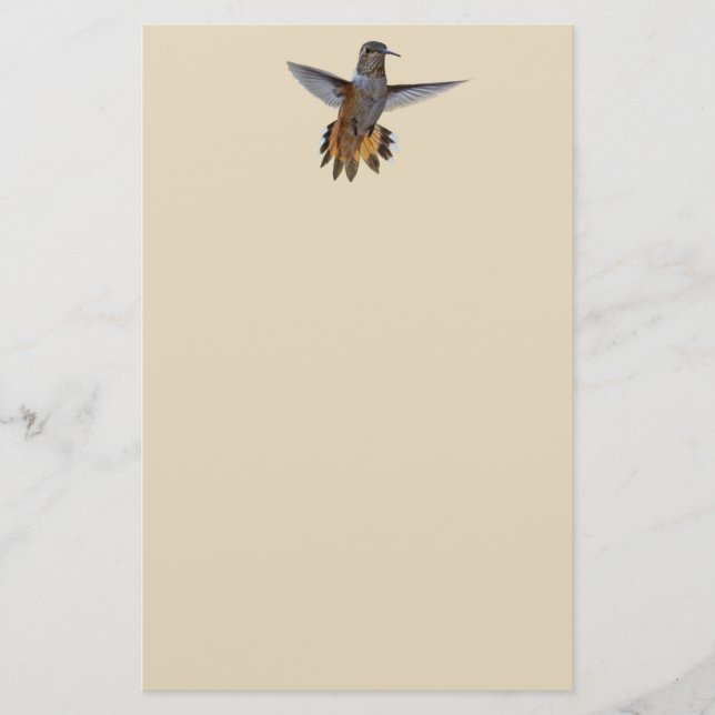 PAPELARIA HUMMINGBIRD (Frente)