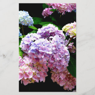 Papelaria Hydrangea jarden rosa azul-floral roxo floral