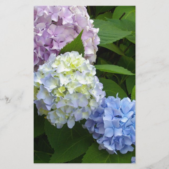 Papelaria Hydrangeas (Frente)
