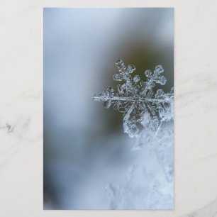 Papelaria Ícy Snowflake