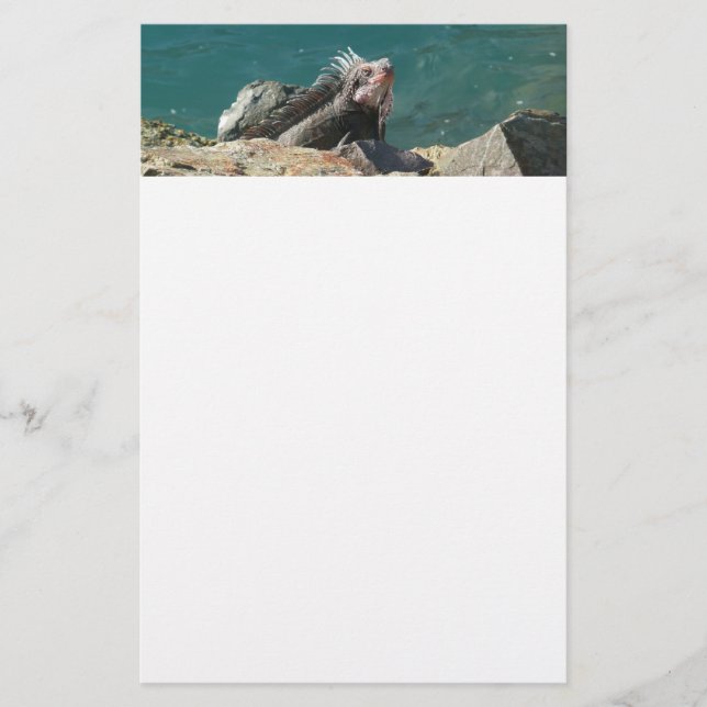 Papelaria Iguana na Rua Thomas. (Frente)