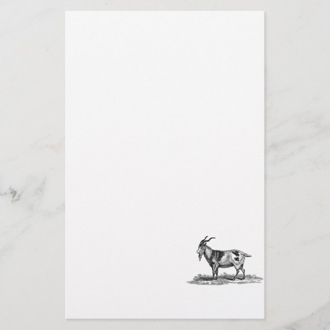 Papelaria Ilustração da cabra doméstica do vintage - cabras (Frente)