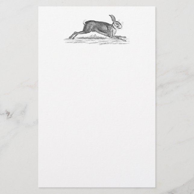 Papelaria Ilustração dos 1800s do coelho de coelho da lebre (Frente)