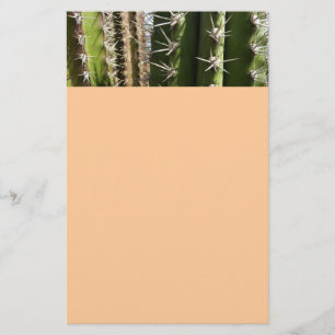 Papelaria Imagem natural do deserto Barrel Cactus II