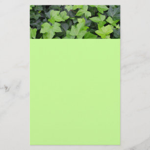 Papelaria Impressão de Botânica de Ivy Verde