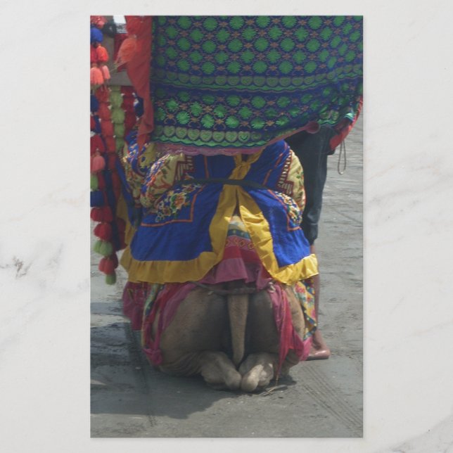 Papelaria Impressão/Gráfico Whimsical Camel Art (Frente)