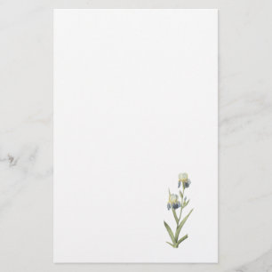 Papelaria íris Pessoa-scented (sambucina da íris) por