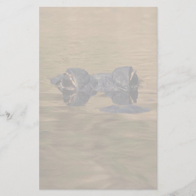 Papelaria jacaré (Frente)