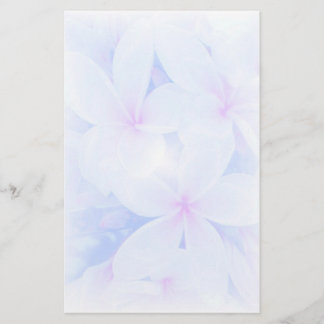 Papelaria Jardim das naturezas