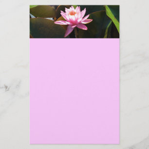 Papelaria Jardim de Água Floral Rosa Solar