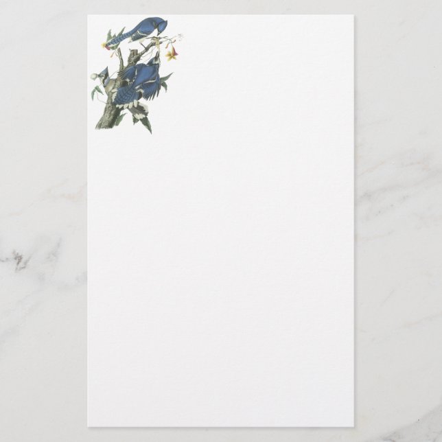 Papelaria Jay azul, John Audubon (Frente)